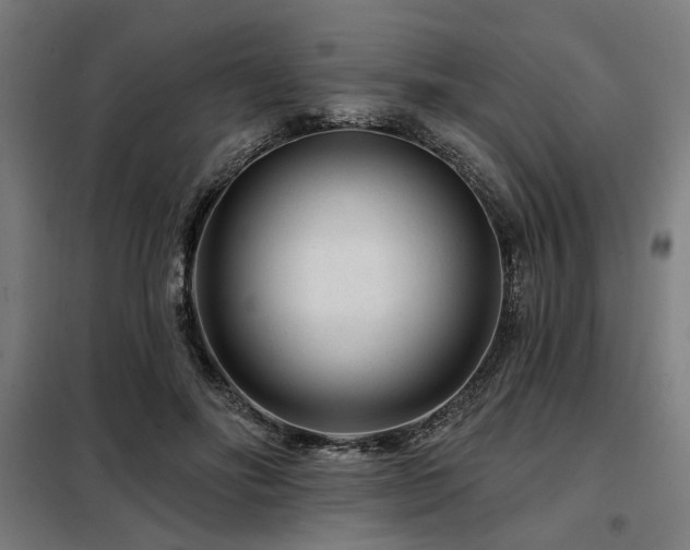 X0000098090502200804041223