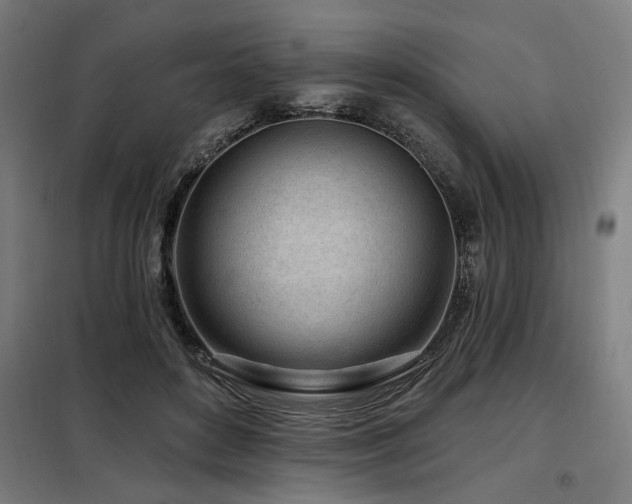 X0000098090504200804041223