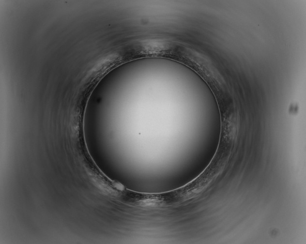 X0000098090505200804041223