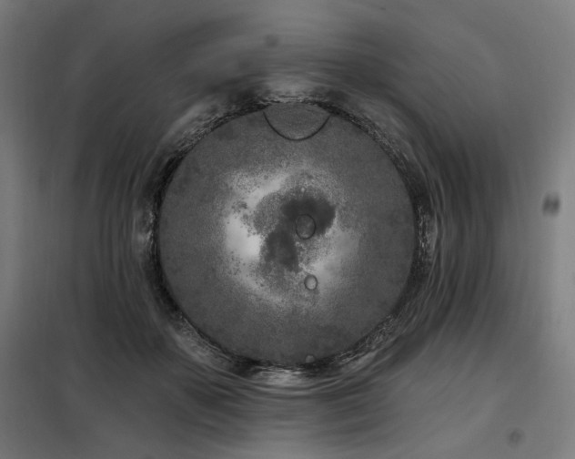 X0000098090507200804041223