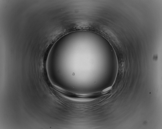 X0000098090508200804041223