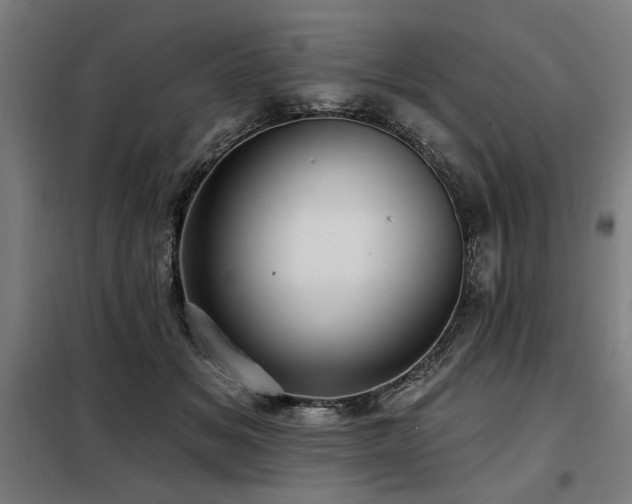 X0000098090509200804041223