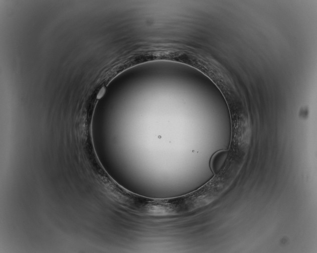 X0000098090510200804041223