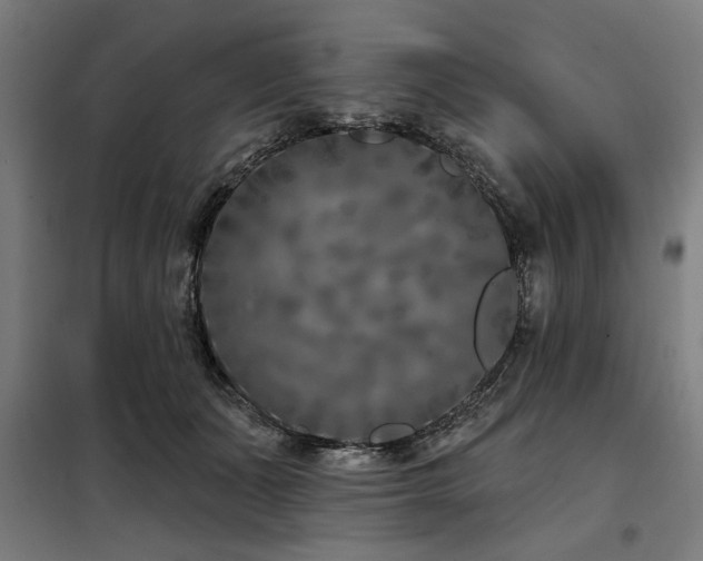 X0000098090511200804041223