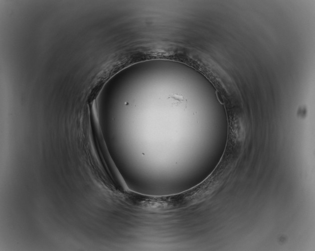 X0000098090512200804041223