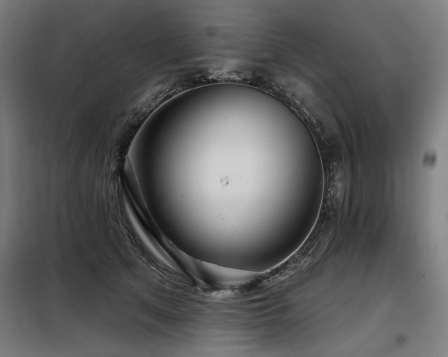 X0000098090513200804041223