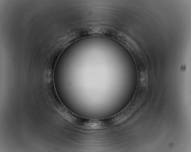 X0000098090514200804041223