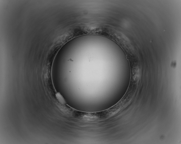 X0000098090515200804041223