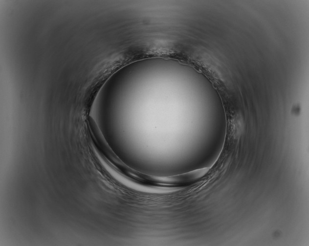 X0000098090517200804041223