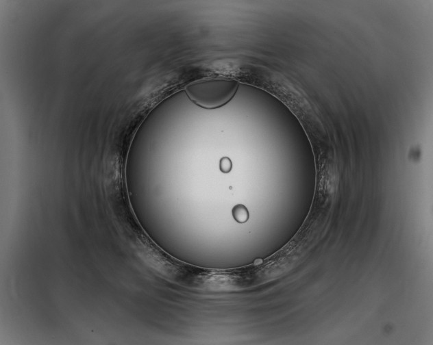 X0000098090518200804041223