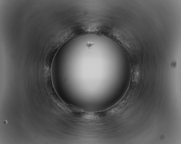 X0000098090521200804041222