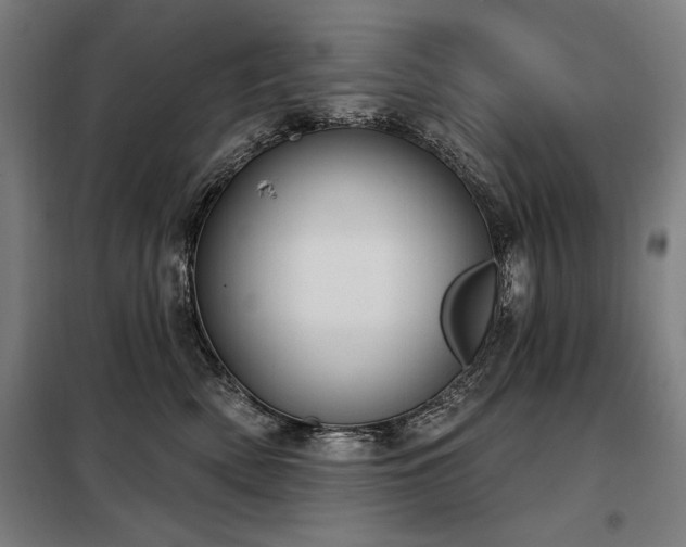 X0000098090522200804041222
