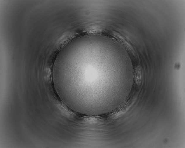 X0000098090523200804041222