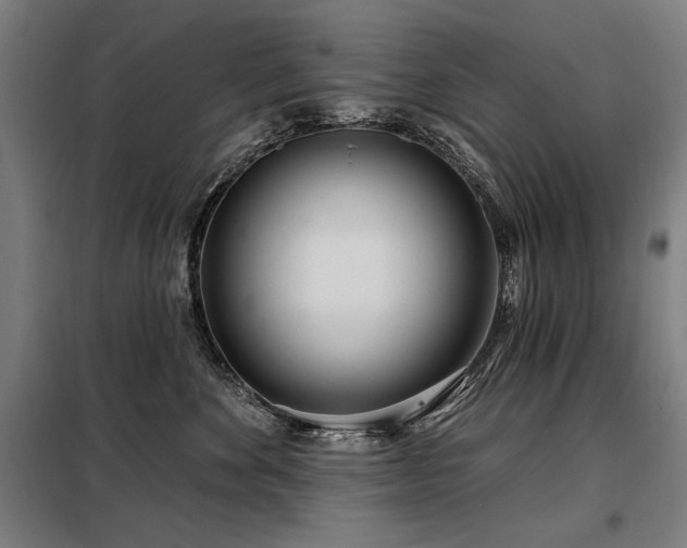 X0000098090524200804041222