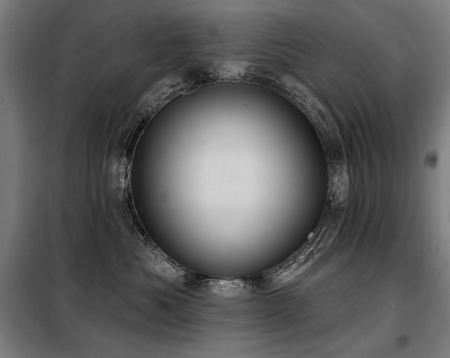 X0000098090525200804041222