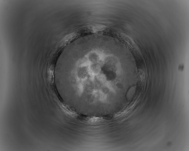 X0000098090527200804041222