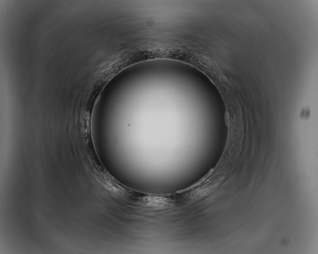 X0000098090528200804041222