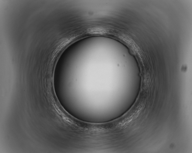 X0000098090529200804041222