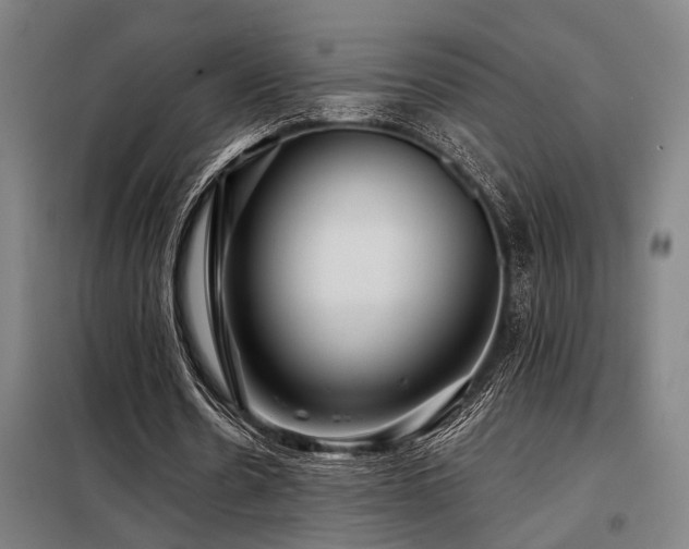 X0000098090530200804041222