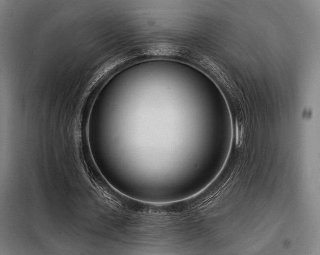 X0000098090531200804041222