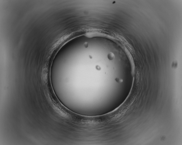 X0000098090533200804041222