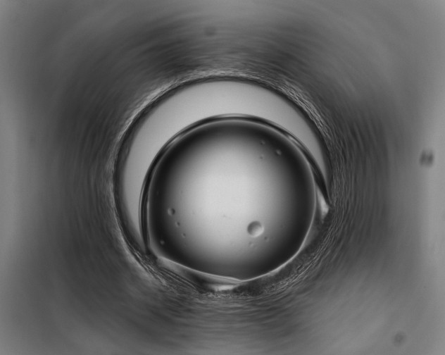 X0000098090534200804041222