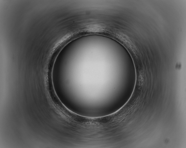X0000098090535200804041222