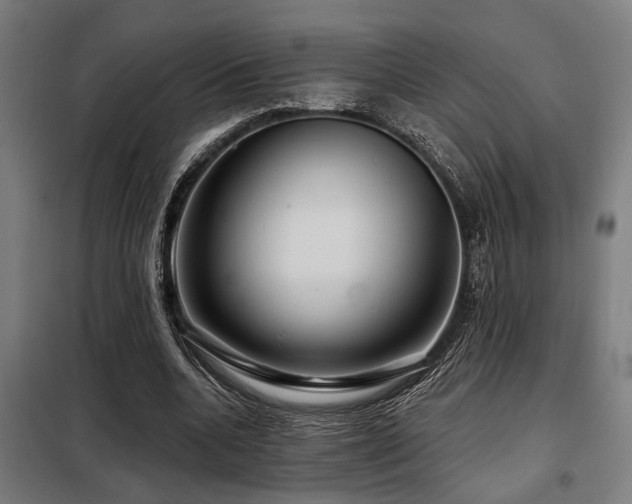 X0000098090536200804041222