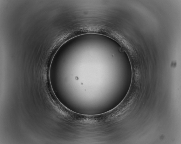X0000098090537200804041222