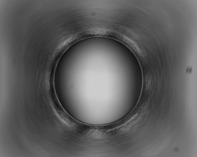 X0000098090538200804041222
