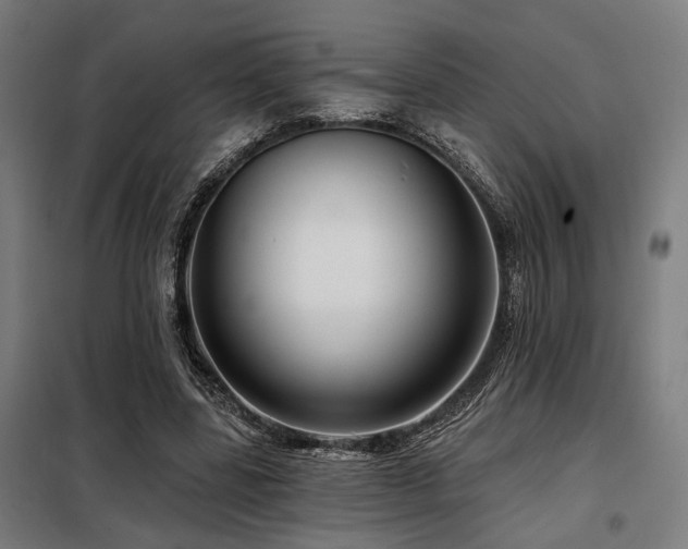 X0000098090539200804041222
