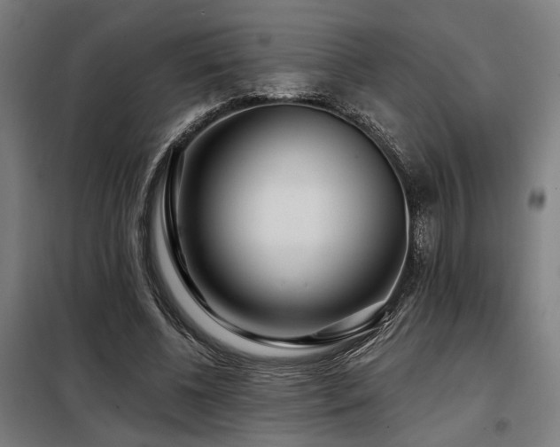X0000098090540200804041222