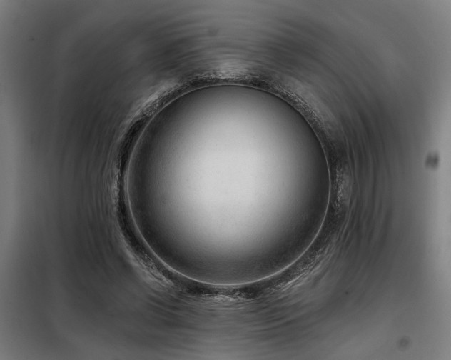 X0000098090542200804041222