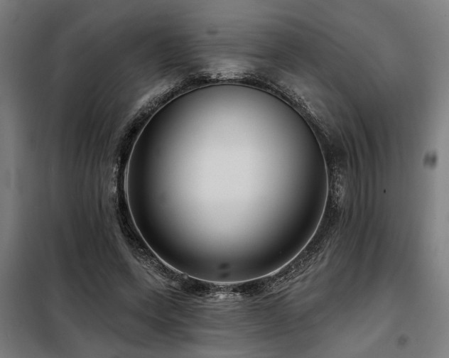 X0000098090543200804041222