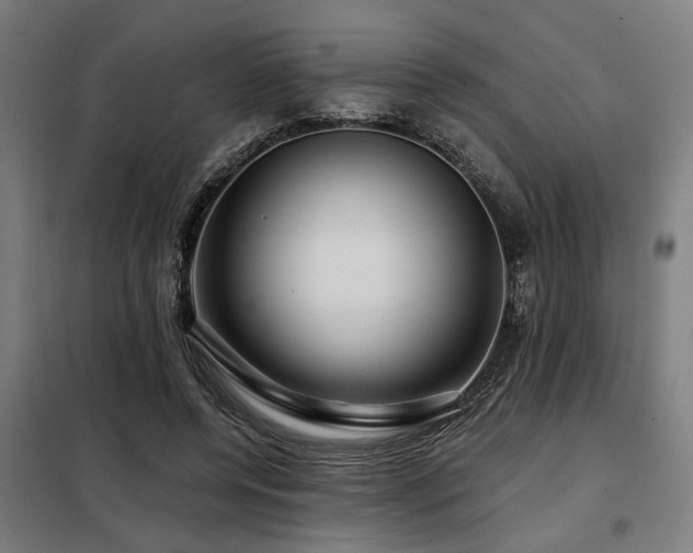 X0000098090544200804041222