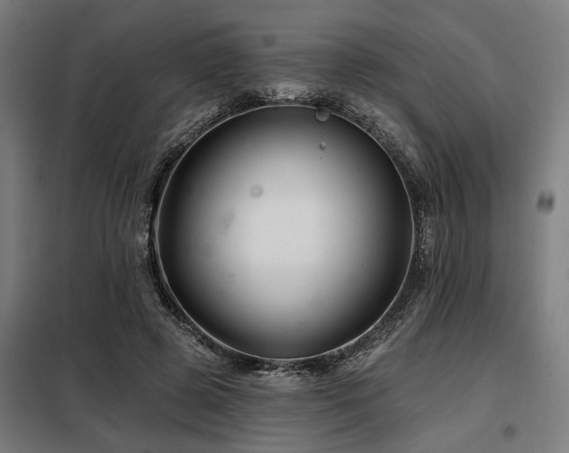 X0000098090545200804041222