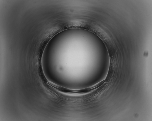 X0000098090546200804041222
