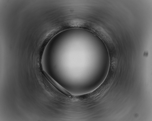 X0000098090547200804041222