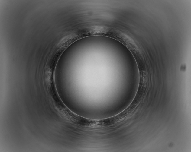 X0000098090550200804041222