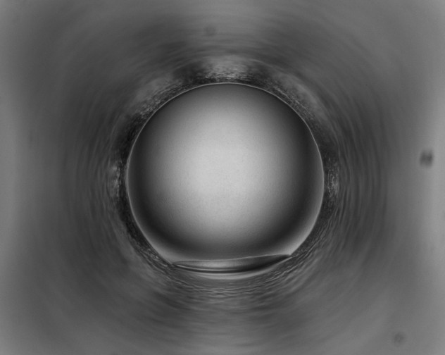 X0000098090551200804041222