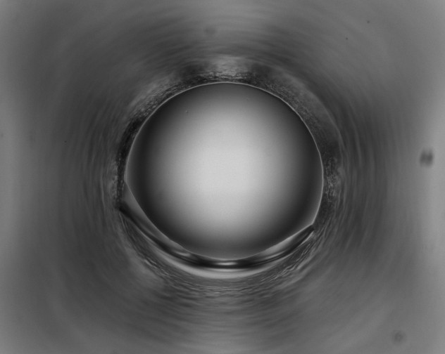 X0000098090552200804041222