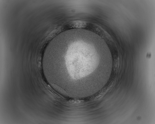 X0000098090553200804041222