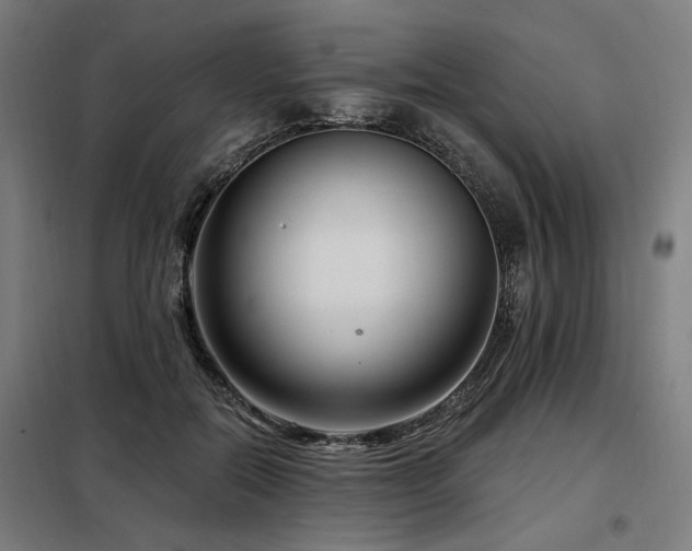 X0000098090554200804041222
