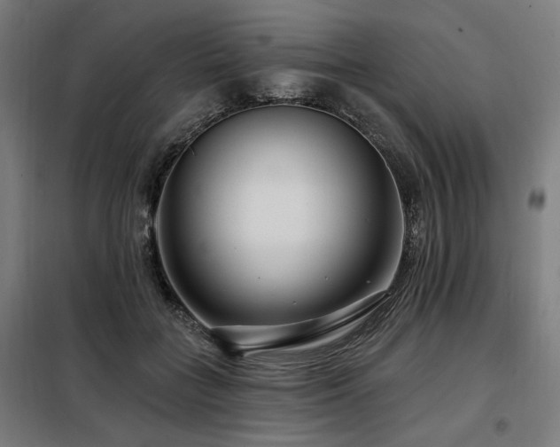 X0000098090555200804041222