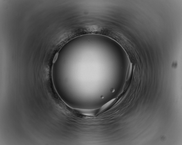 X0000098090556200804041222