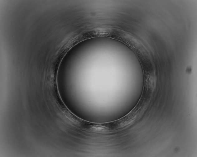 X0000098090557200804041222