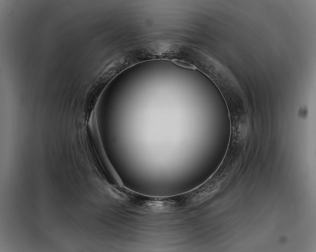 X0000098090558200804041222