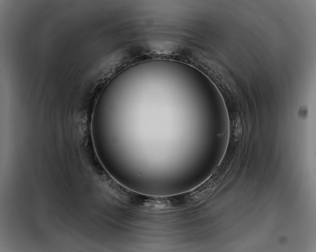X0000098090559200804041222