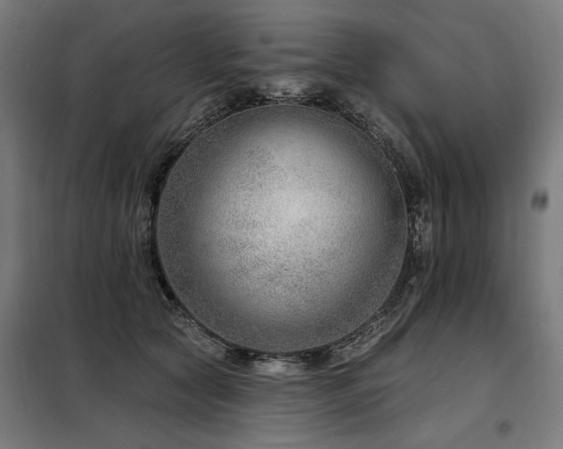 X0000098090561200804041222