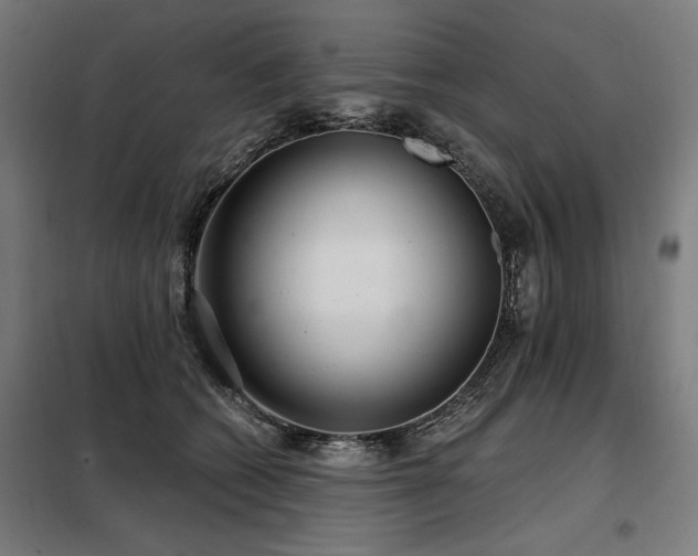 X0000098090562200804041222